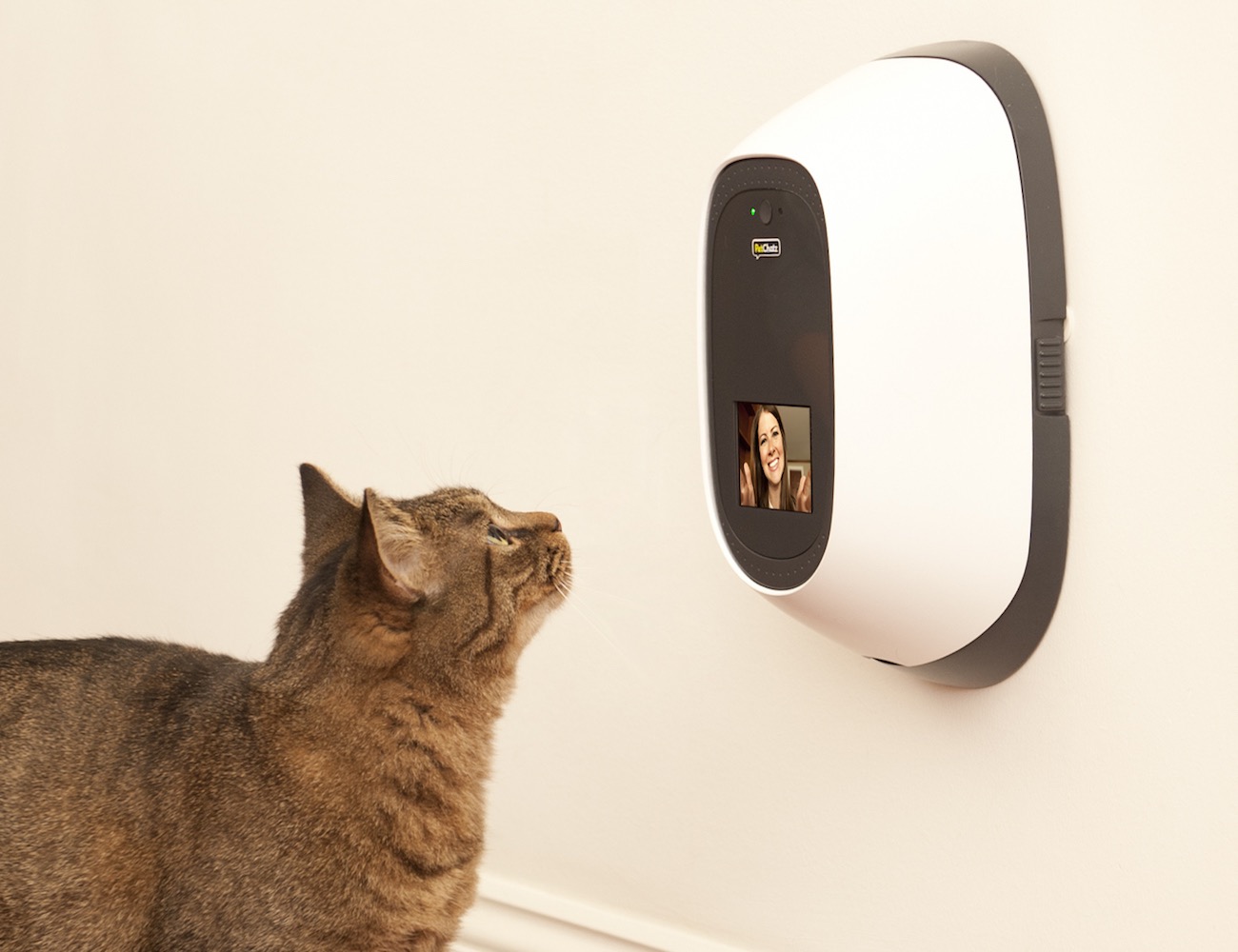 Kam až zajde chytrá domácnost? Volá vám kočka, že chce pamlsek